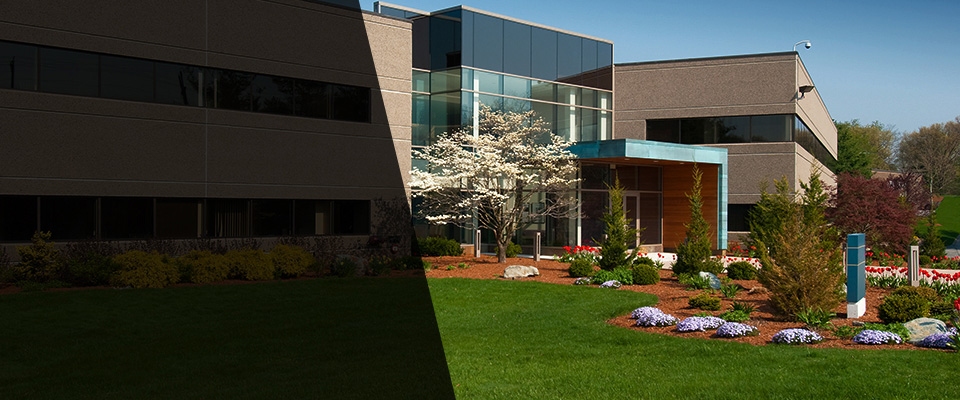 Cave Junction Landscapers