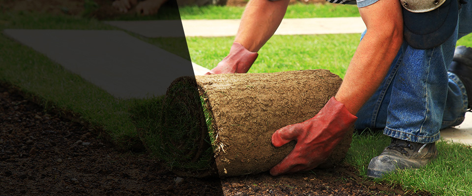 Cave Junction Landscapers